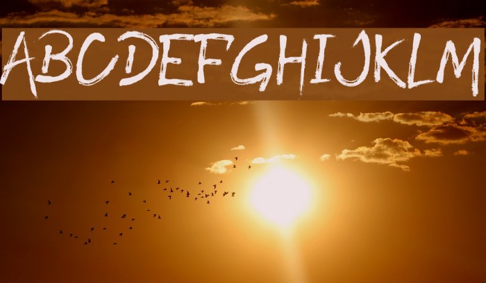 ROODY LAST Example 1