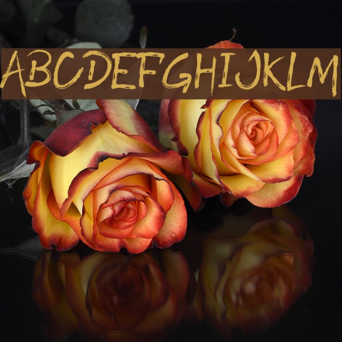 ROODY LAST Example 2