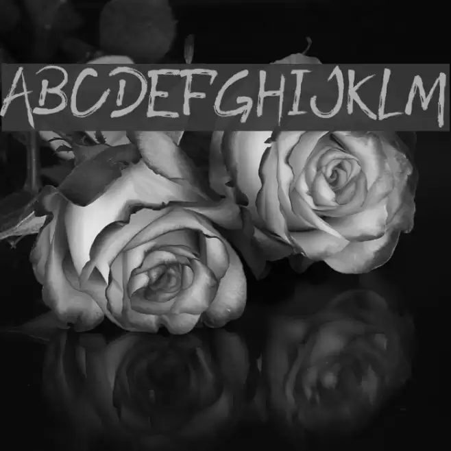 ROODY LAST Font examples