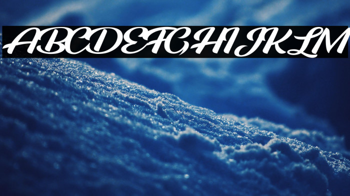 ROOSTER PERSONAL USE Example 1