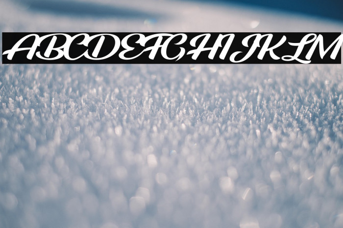 ROOSTER PERSONAL USE Example 2