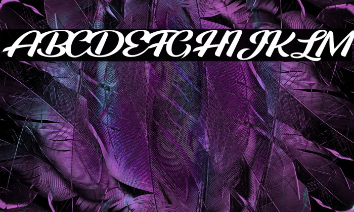 ROOSTER PERSONAL USE Example 3