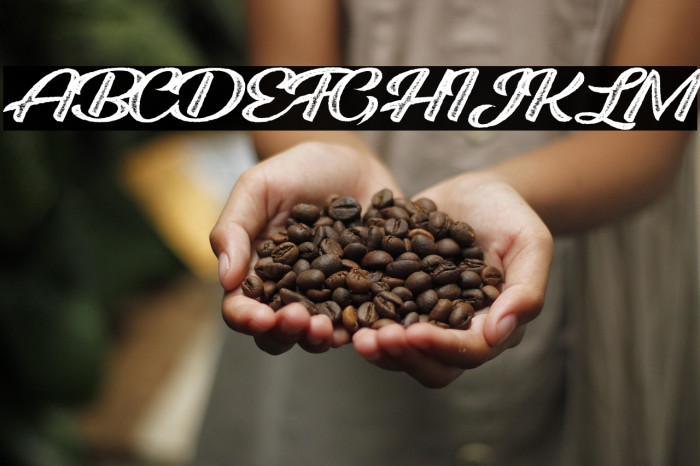 ROOSTER ROOTS PERSONAL USE Regular Example 2