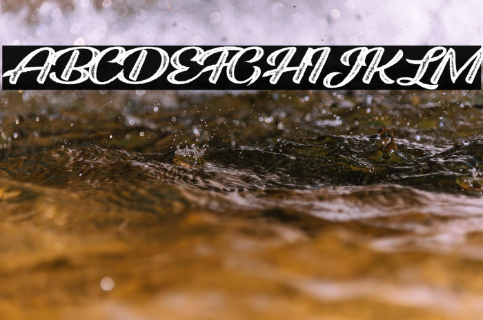 ROOSTER ROOTS PERSONAL USE Regular Example 3