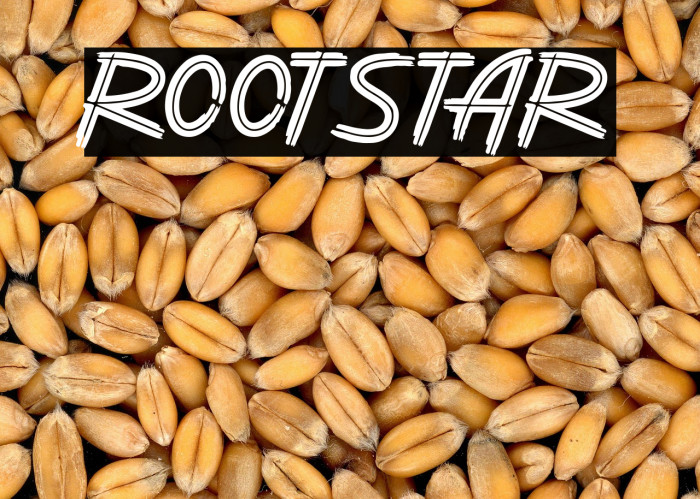 ROOTSTAR Example 2