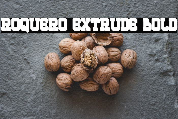 ROQUERO Extrude Bold Example 1