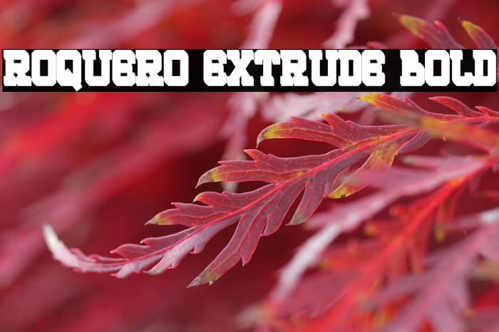 ROQUERO Extrude Bold Example 2