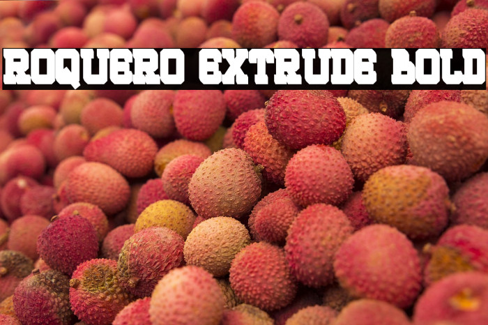 ROQUERO Extrude Bold Example 3