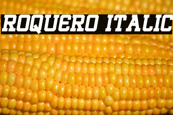 ROQUERO Italic Example 1