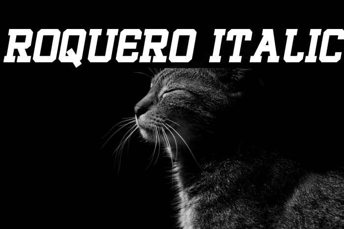 ROQUERO Italic Example 2