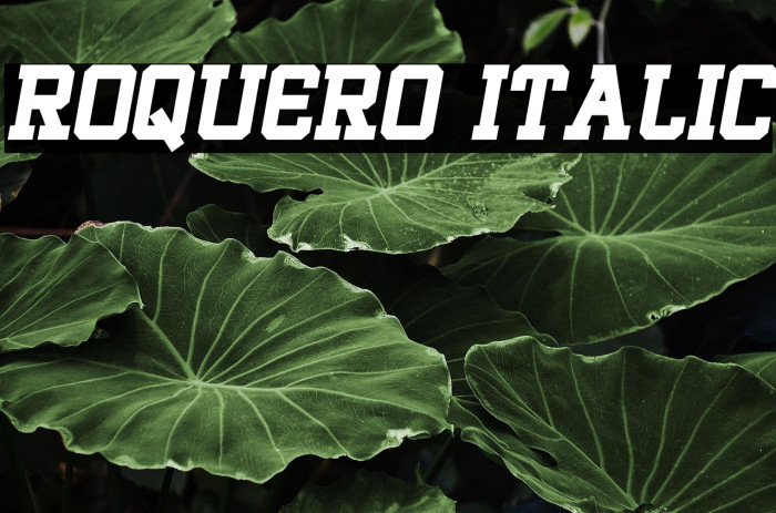 ROQUERO Italic Example 3