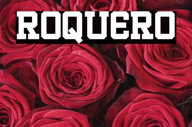 ROQUERO Example 1