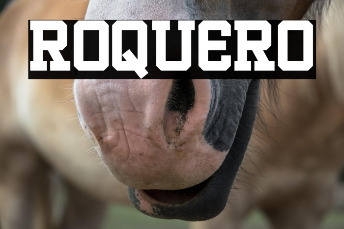 ROQUERO Example 2