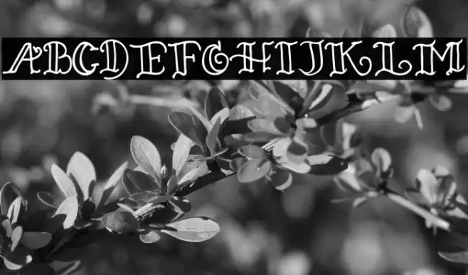 ROSE MERRY Font examples