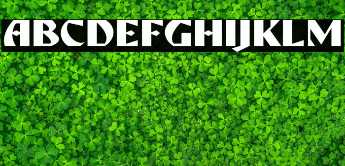 ROSEFORD DEMO Example 2