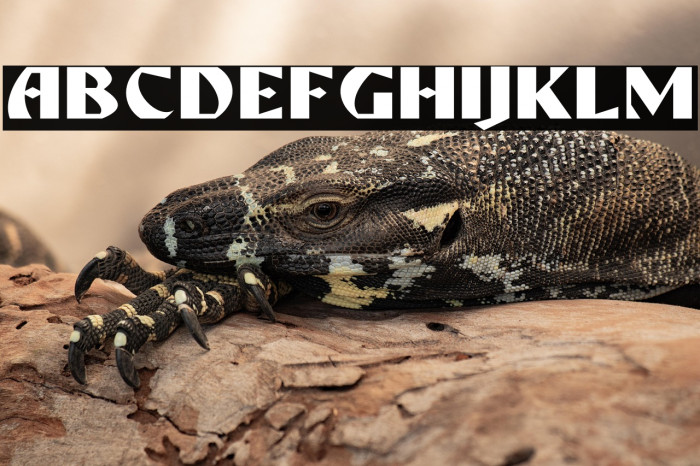 ROSEFORD DEMO Example 3