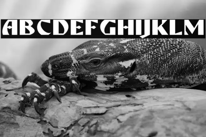 ROSEFORD DEMO Font examples