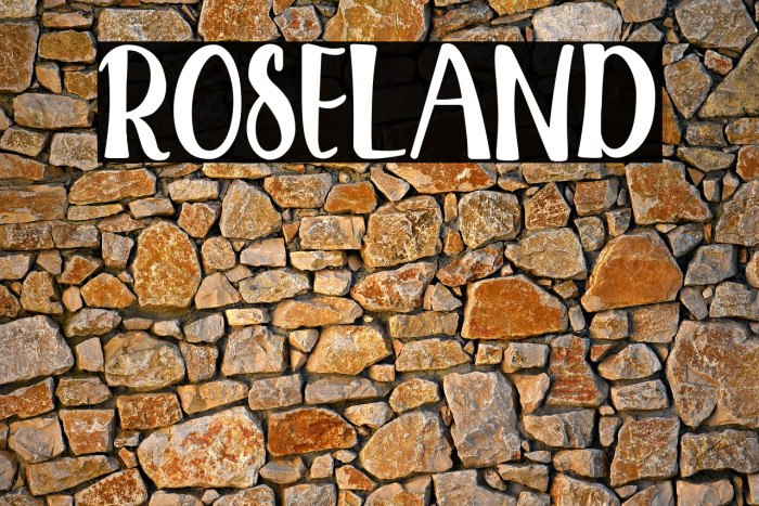 ROSELAND Example 2