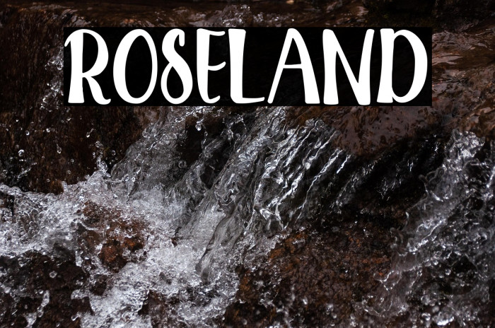 ROSELAND Example 3