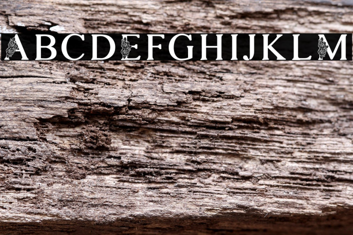 ROSEMARRYE PERSONAL USE Example 1