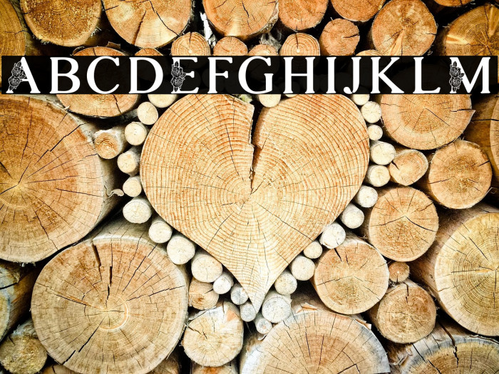 ROSEMARRYE PERSONAL USE Example 3