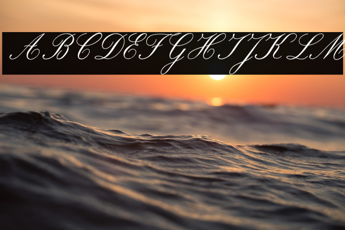 ROSEMARRYE SCRIPT PERSONAL USE Italic Example 1