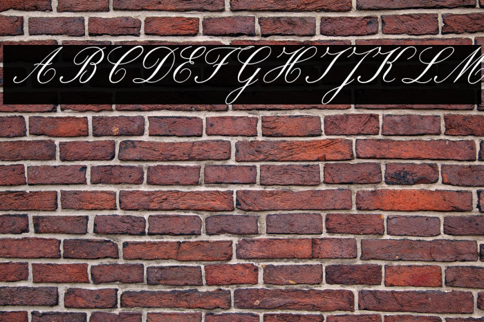 ROSEMARRYE SCRIPT PERSONAL USE Italic Example 2