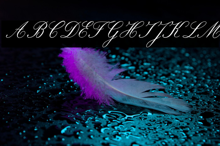 ROSEMARRYE SCRIPT PERSONAL USE Italic Example 3