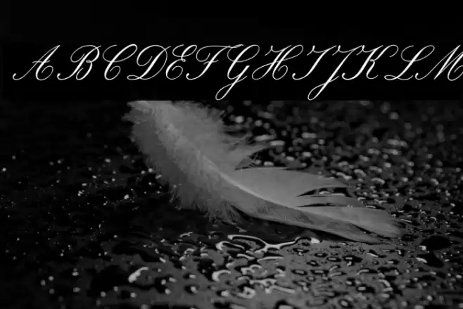 ROSEMARRYE SCRIPT PERSONAL USE Italic Font examples