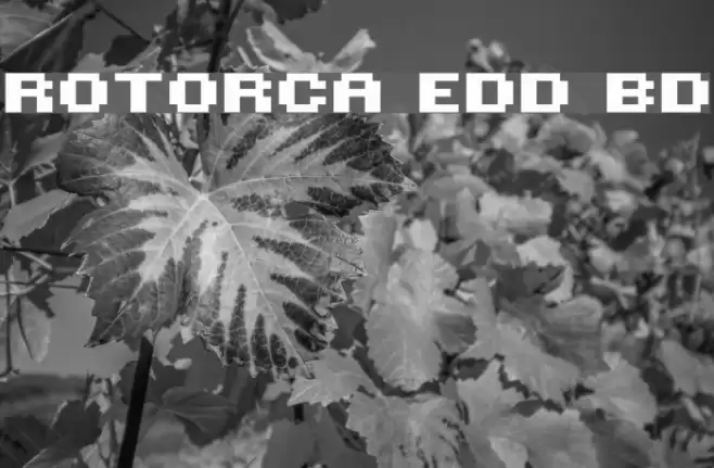 ROTORcap Extended Bold Font examples