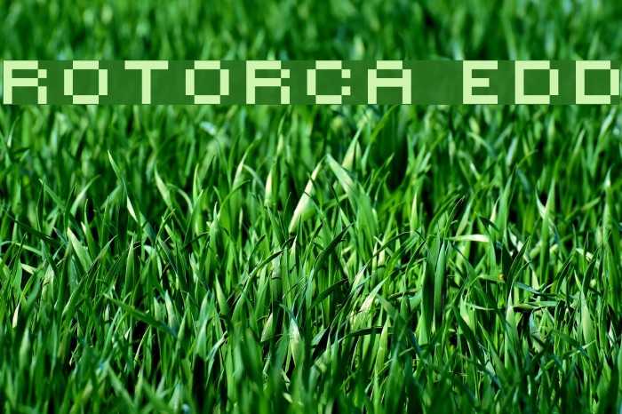 ROTORcap Extended Font examples