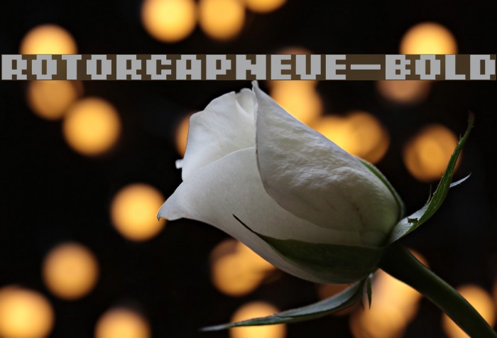 ROTORcapNeue-Bold Font examples