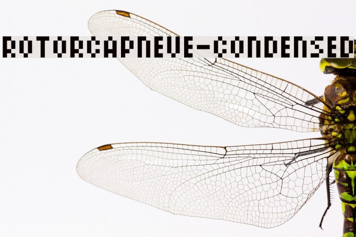 ROTORcapNeue-Condensed Font examples