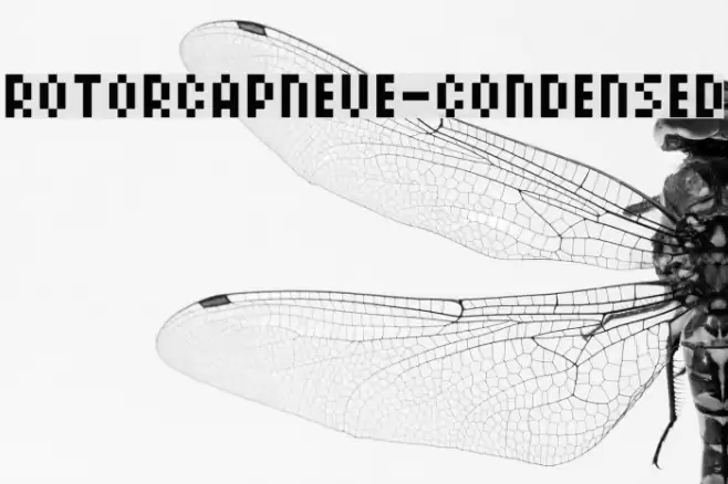 ROTORcapNeue-Condensed Font examples