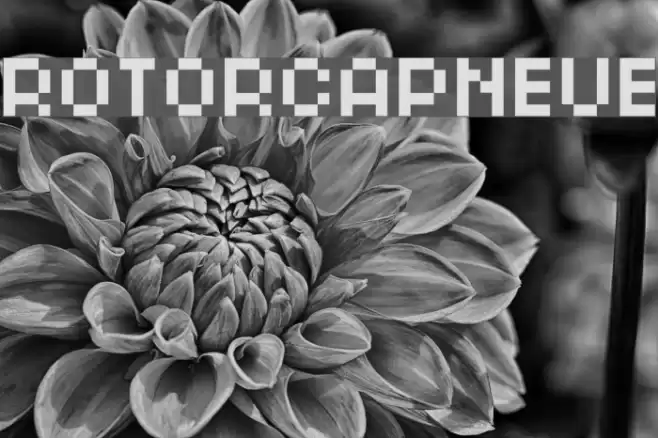 ROTORcapNeue Font examples