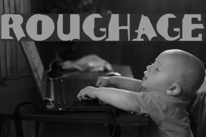 ROUGHAGE Font examples