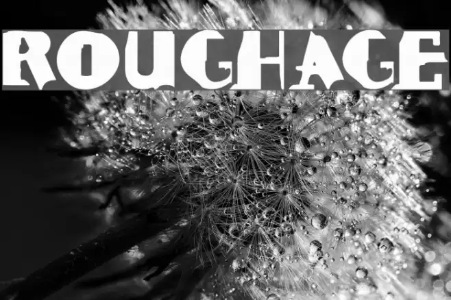 ROUGHAGE Font examples