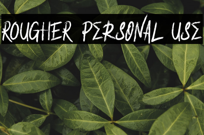 ROUGHER Personal Use Example 2