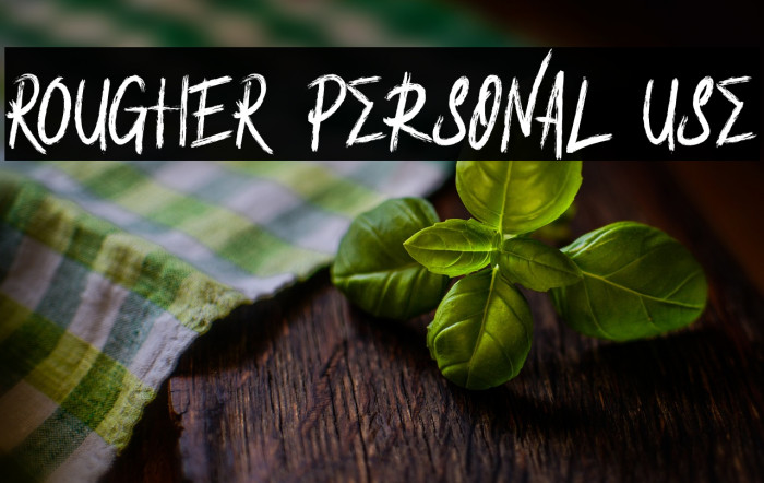 ROUGHER Personal Use Example 3