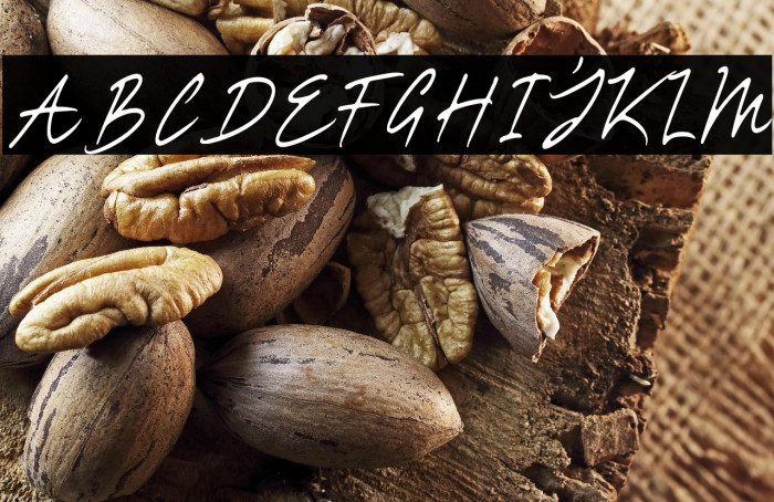 ROYAL Hefana Script Script Example 1