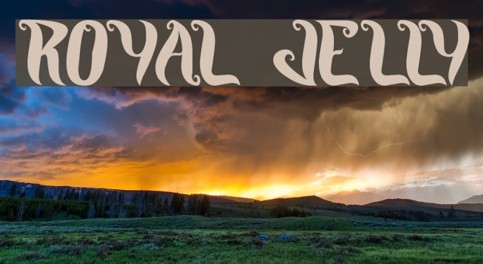 ROYAL JELLY Font examples