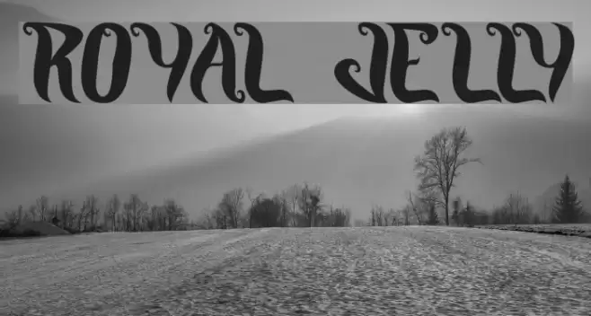 ROYAL JELLY Font examples