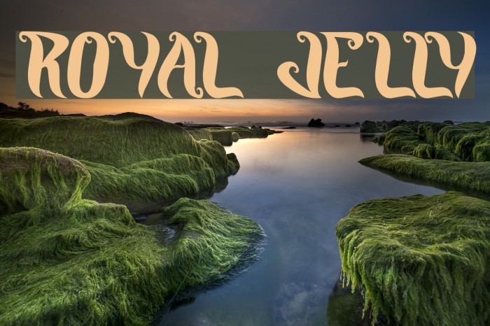 ROYAL JELLY Font examples