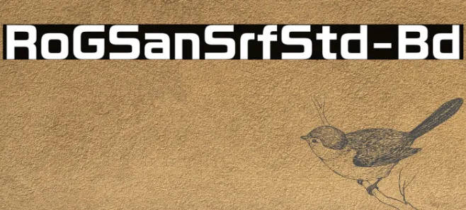 RoGSanSrfStd-Bd Example 2