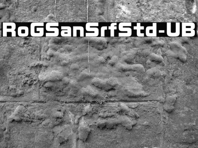 RoGSanSrfStd-UB フォント examples