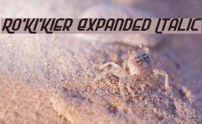 Ro'Ki'Kier Expanded Italic Font examples