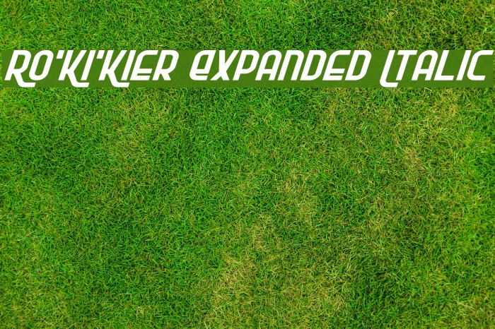Ro'Ki'Kier Expanded Italic Font examples