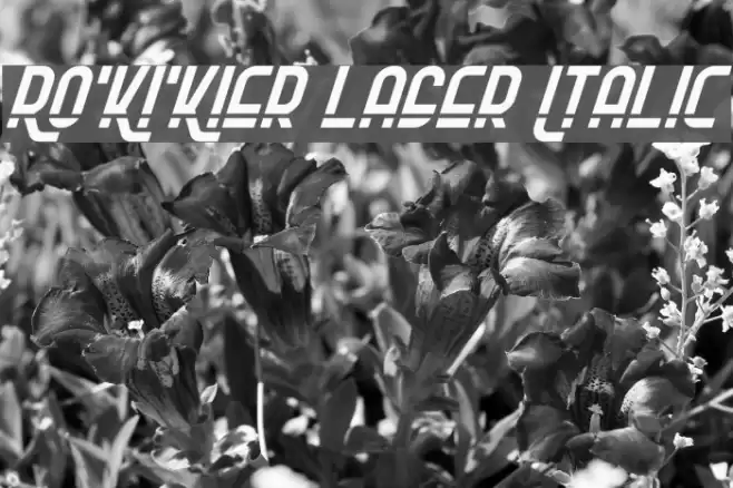 Ro'Ki'Kier Laser Italic Font examples