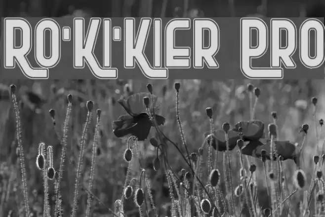 Ro'Ki'Kier Pro Font examples