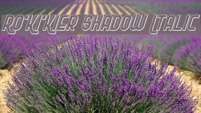 Ro'Ki'Kier Shadow Italic Font examples